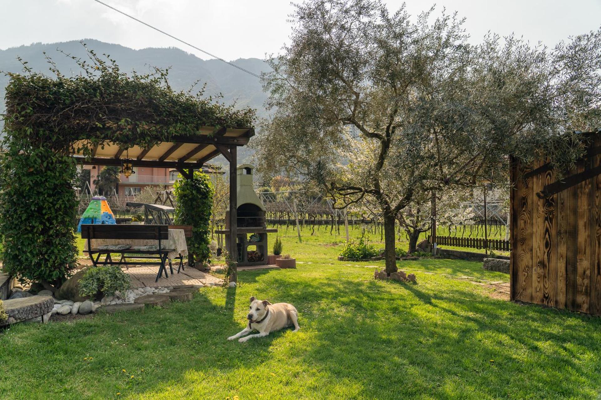 La Casa nel Verde Arco Esterno foto